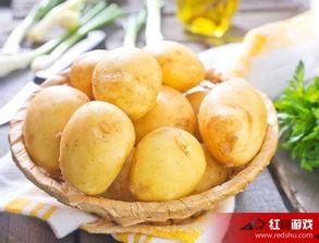 娱乐吃瓜小金土豆,揭秘吃瓜群众背后的土豆人生