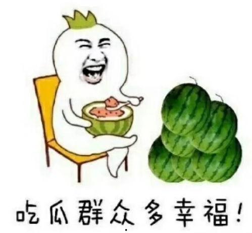 晋江娱乐圈吃瓜文,揭秘幕后真相，吃瓜群众狂欢时刻